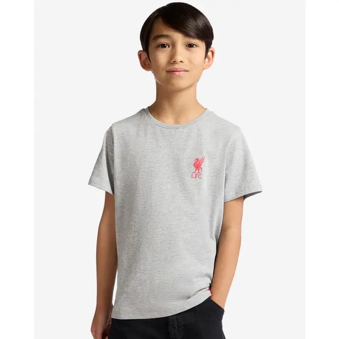 Liverpool Football Kits Shop - LFC Juniors Never Gonna Stop Tee Grey Marl Official Liverpool Third Kits & Football Shirts